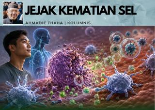 Jejak Terakhir Sebuah Sel: Pelajaran Kehidupan dari Kematian yang Teratur